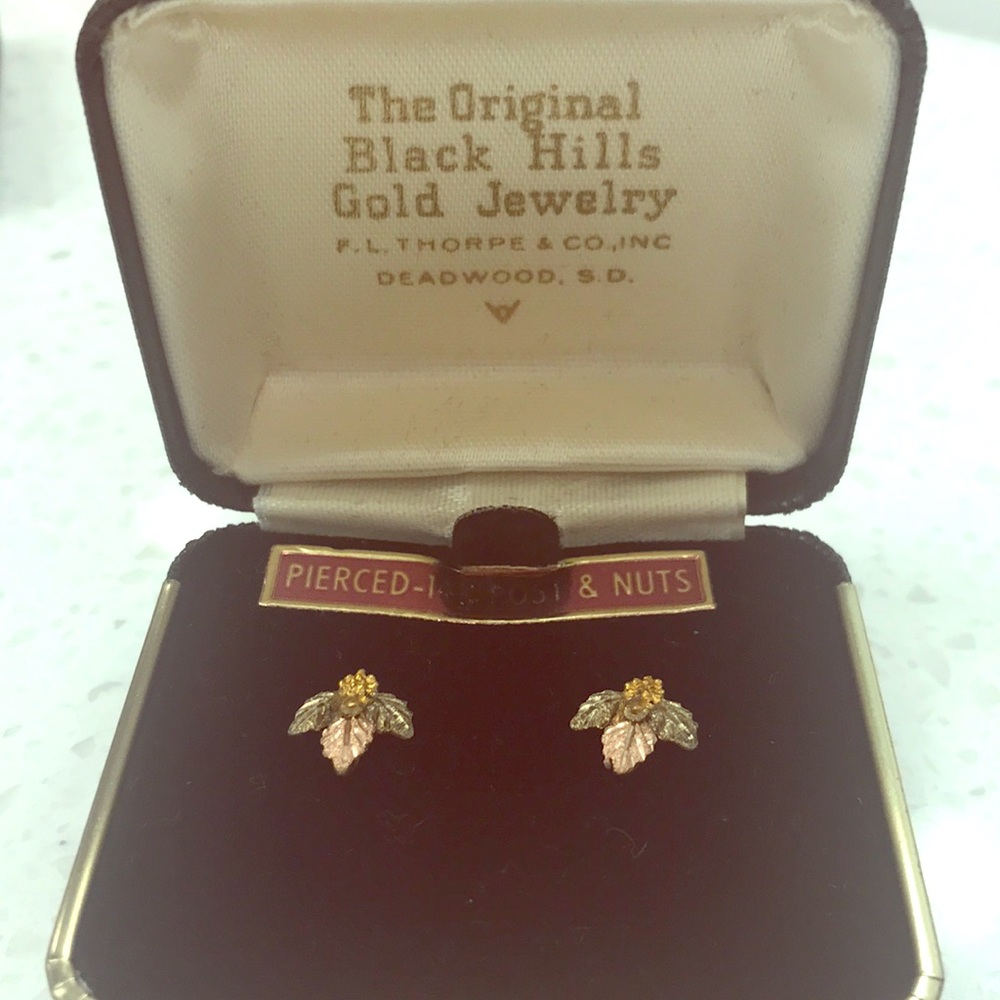 Black Hills 14k gold Earrings